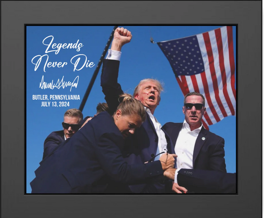 LEGEND NEVER DIE FRAME